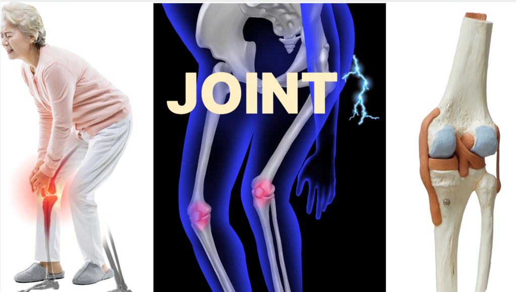 Best Walking Shoes for Seniors with Joint Pain